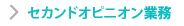 セカンドオピニオン業務